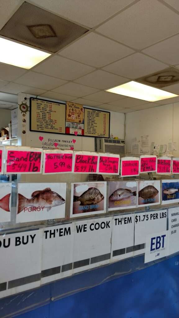 Fish House IV photo 5